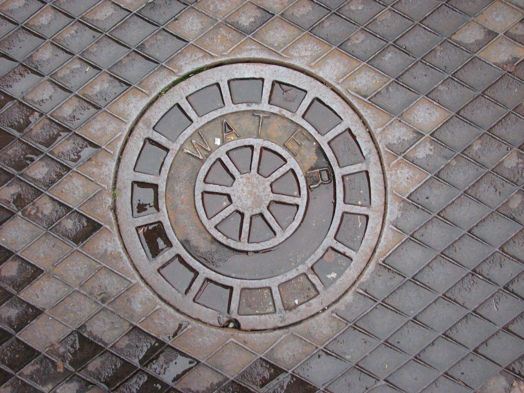 about-02 Manhole cover after a light rain, in Clarksburg, W.VA.