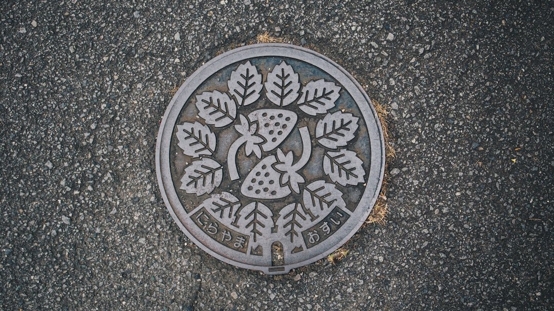 July 2021, Izunokuni.
Manhole with strawberry design.